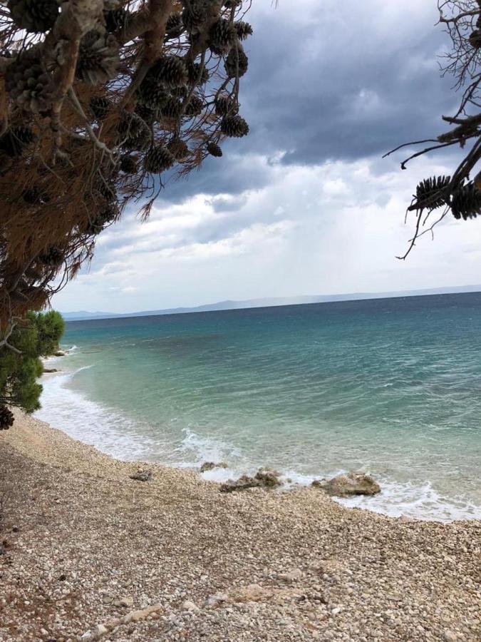 Oaza Mira Mobile Houses - Camp Basko Polje #Bestoffer Baška Voda Eksteriør bilde