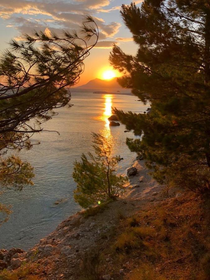 Oaza Mira Mobile Houses - Camp Basko Polje #Bestoffer Baška Voda Eksteriør bilde